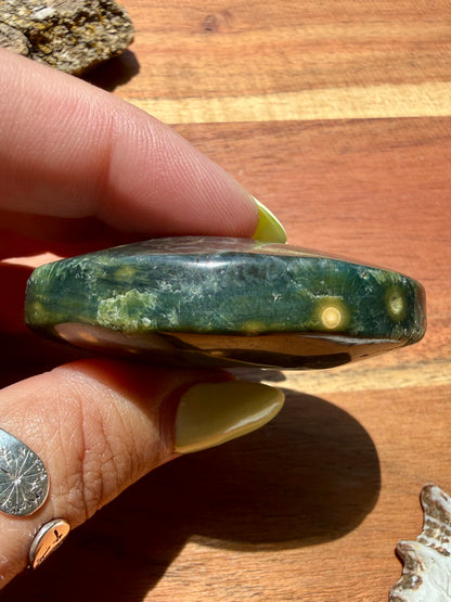 OLD STOCK OCEAN JASPER PALM STONE