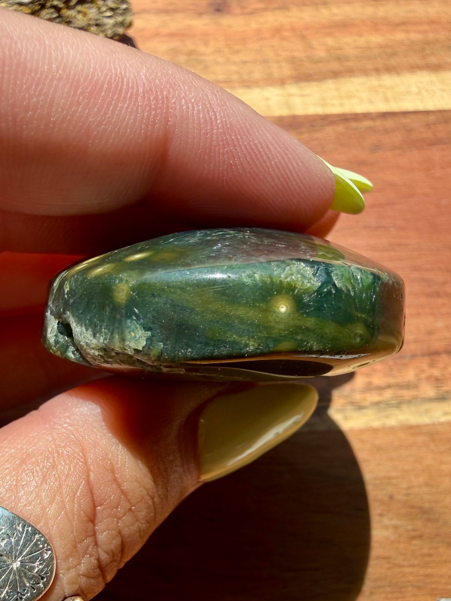 OLD STOCK OCEAN JASPER PALM STONE