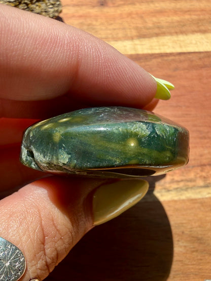 OLD STOCK OCEAN JASPER PALM STONE