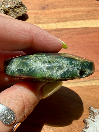 OLD STOCK OCEAN JASPER PALM STONE