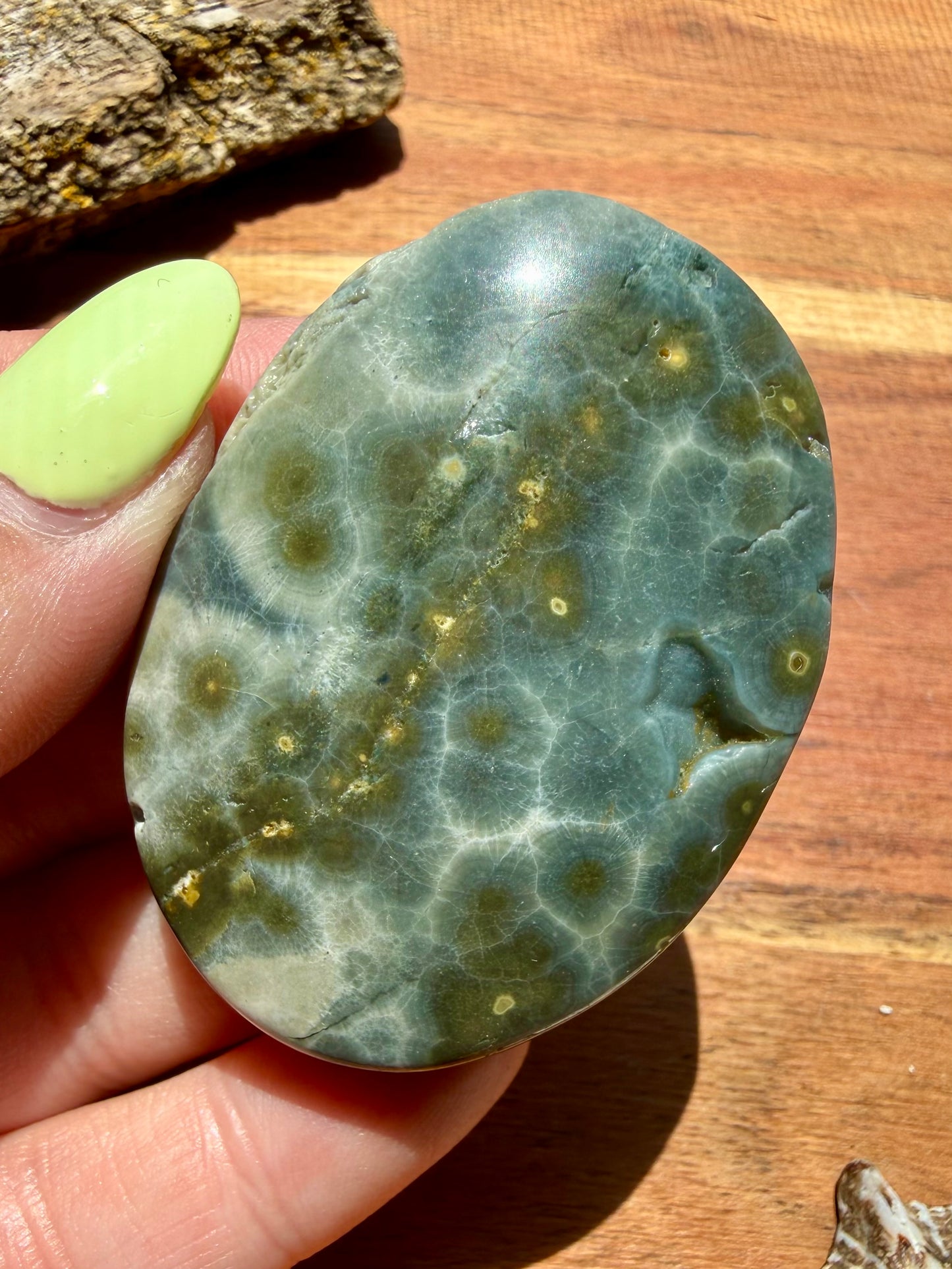 OLD STOCK OCEAN JASPER PALM STONE