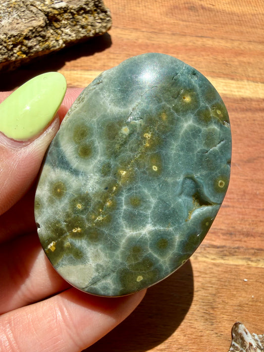OLD STOCK OCEAN JASPER PALM STONE