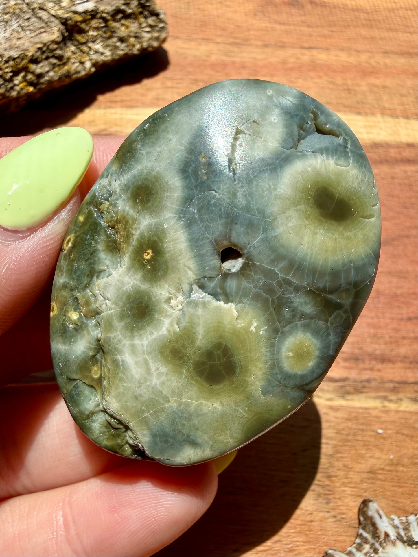 OLD STOCK OCEAN JASPER PALM STONE