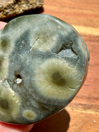 OLD STOCK OCEAN JASPER PALM STONE