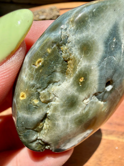 OLD STOCK OCEAN JASPER PALM STONE