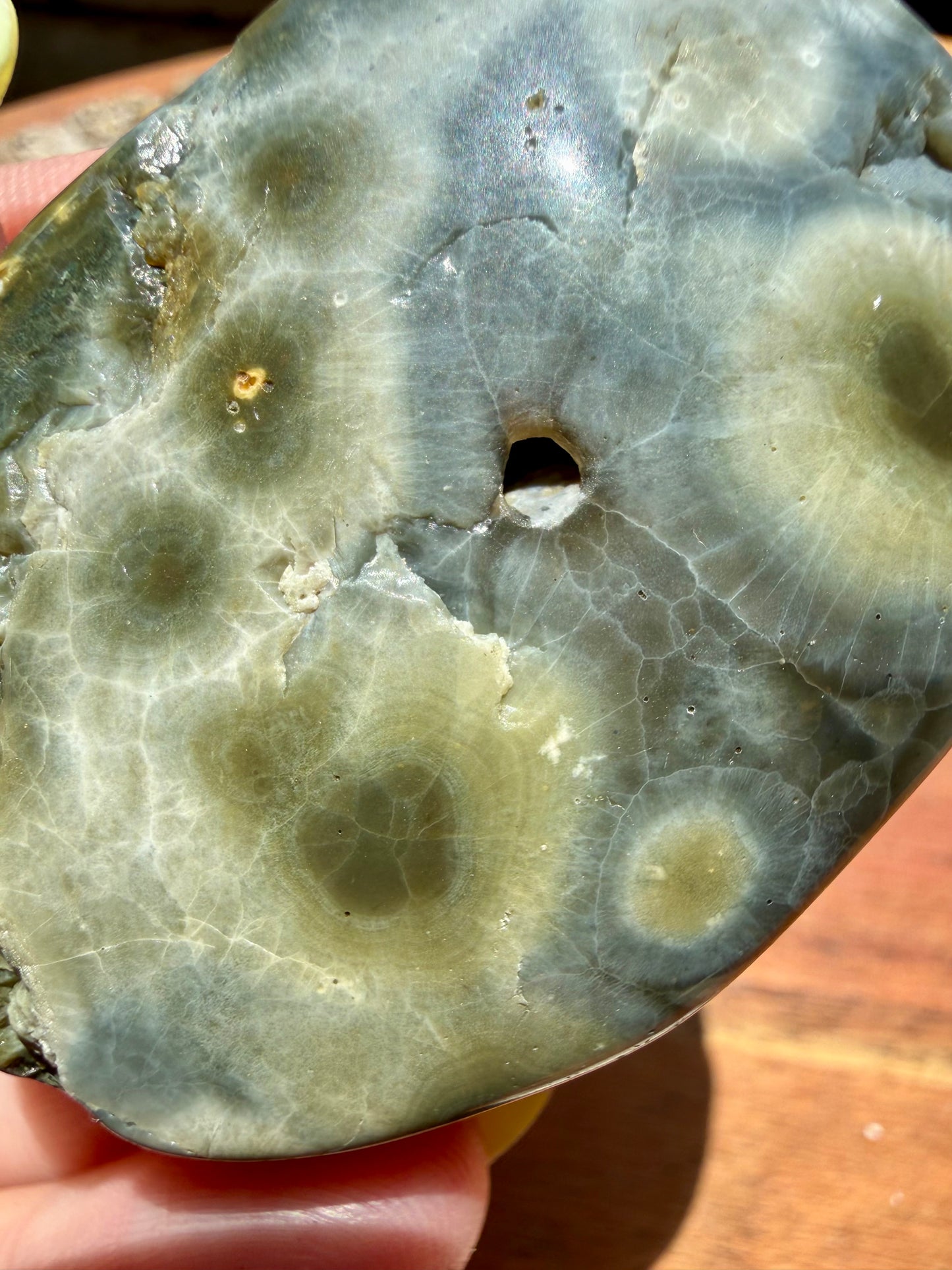 OLD STOCK OCEAN JASPER PALM STONE