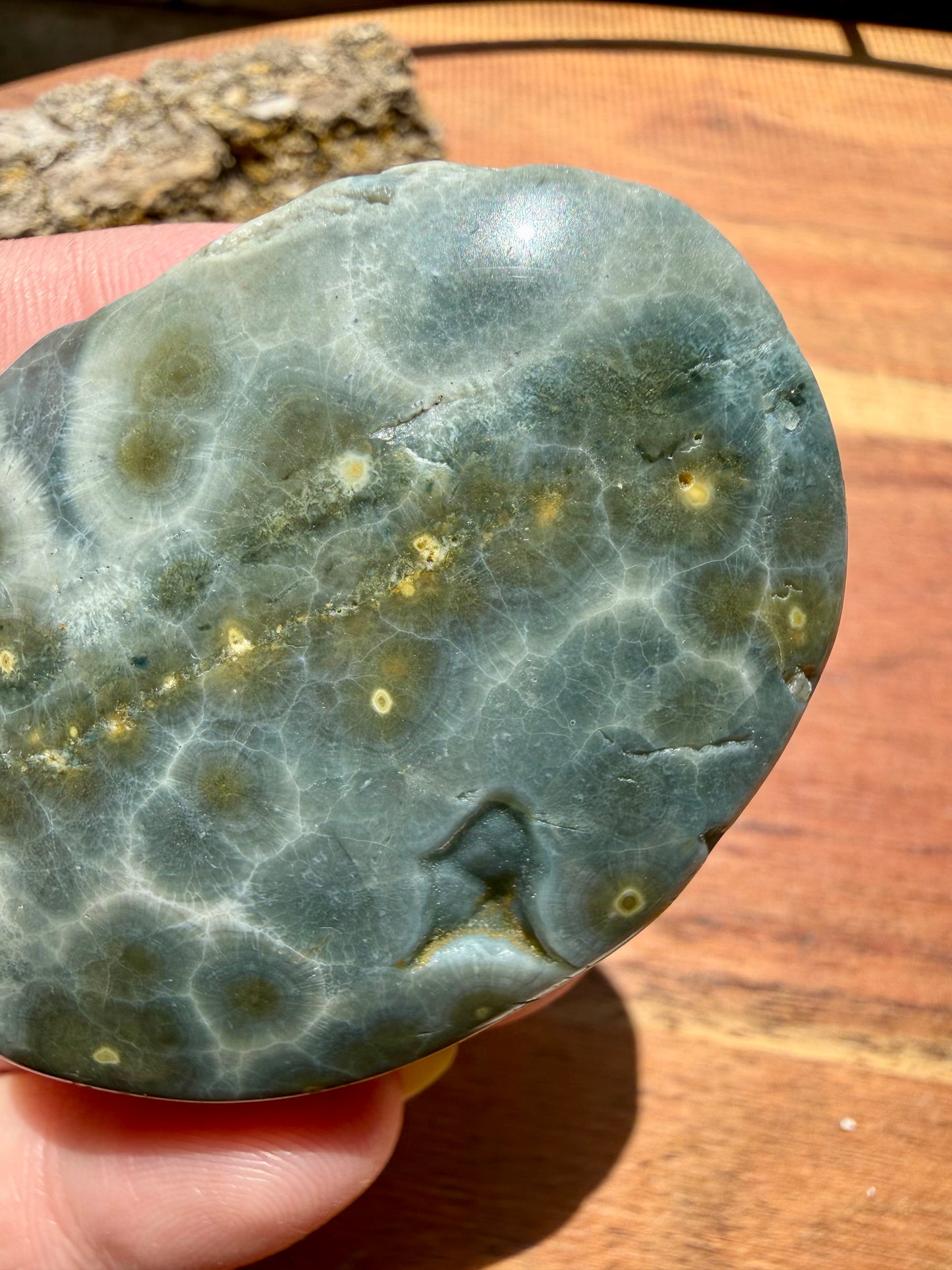 OLD STOCK OCEAN JASPER PALM STONE