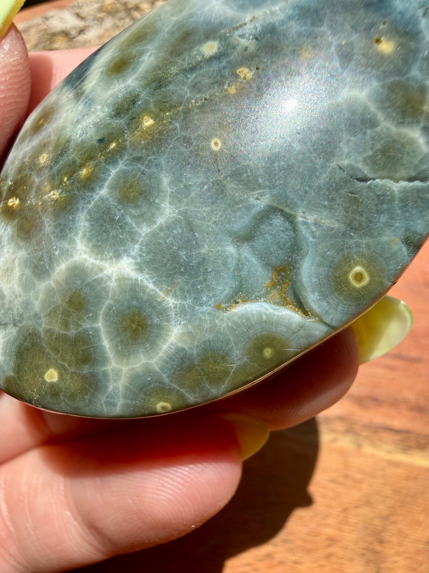 OLD STOCK OCEAN JASPER PALM STONE
