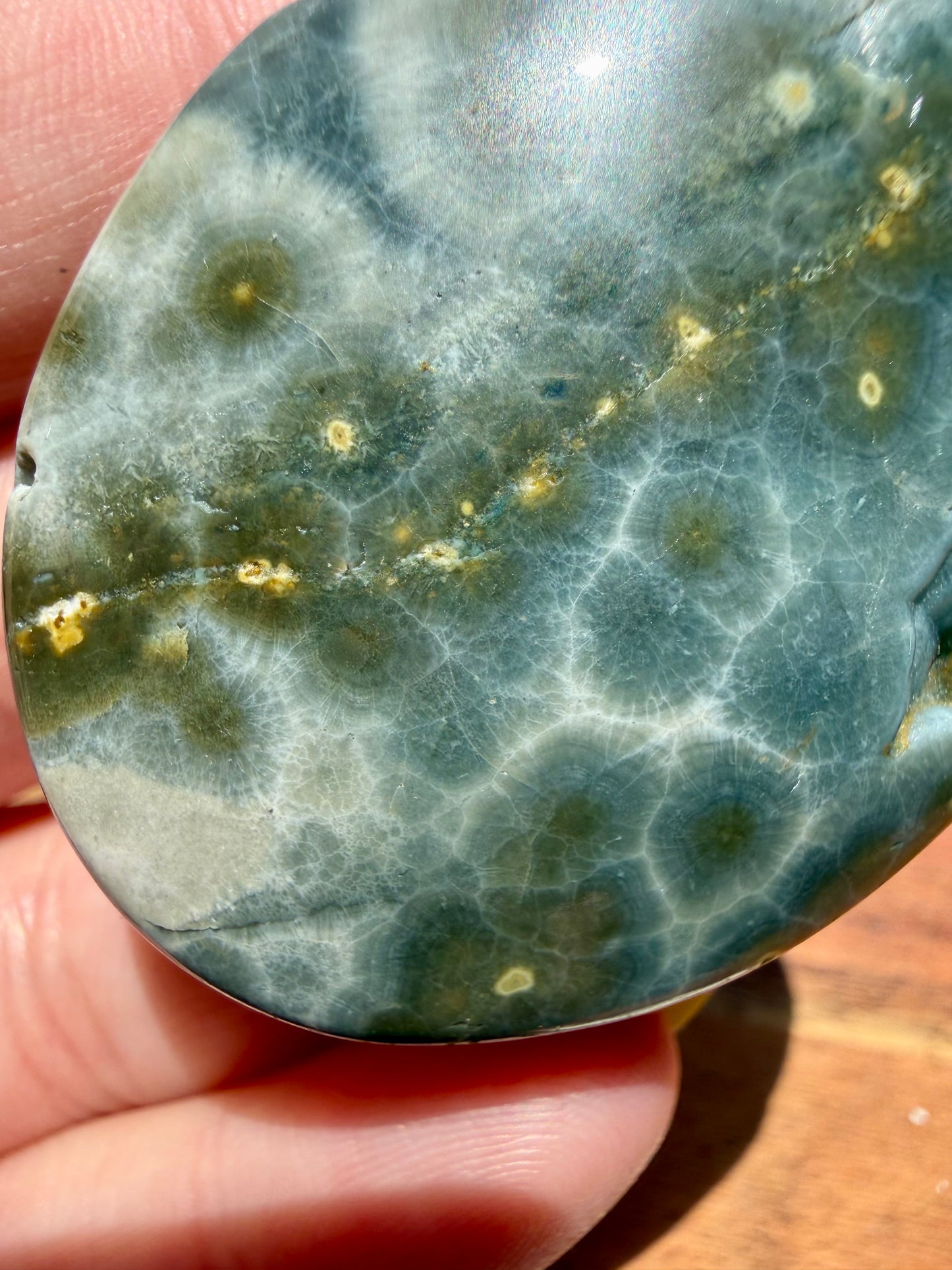 OLD STOCK OCEAN JASPER PALM STONE