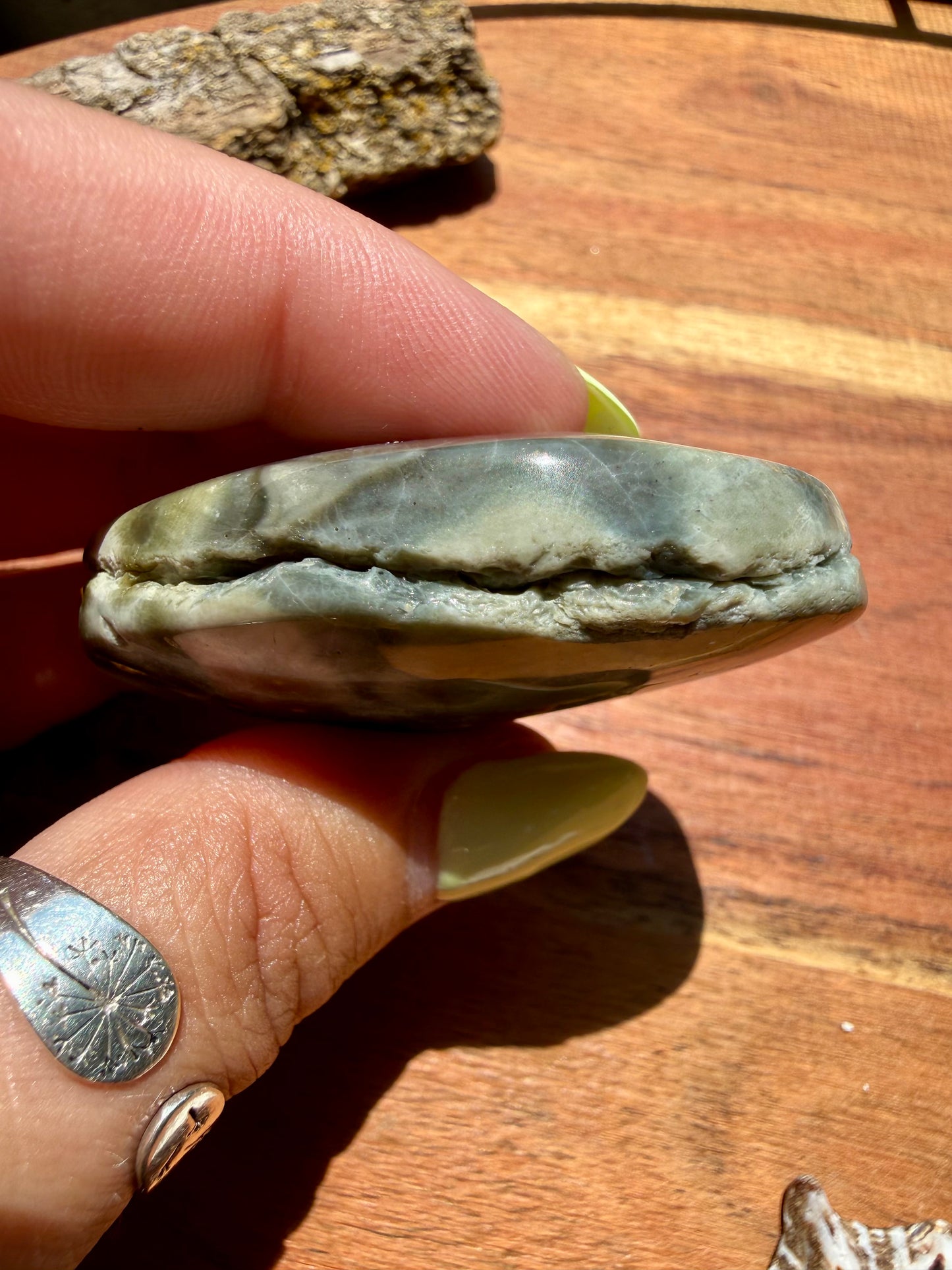 OLD STOCK OCEAN JASPER PALM STONE