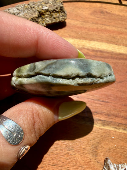OLD STOCK OCEAN JASPER PALM STONE