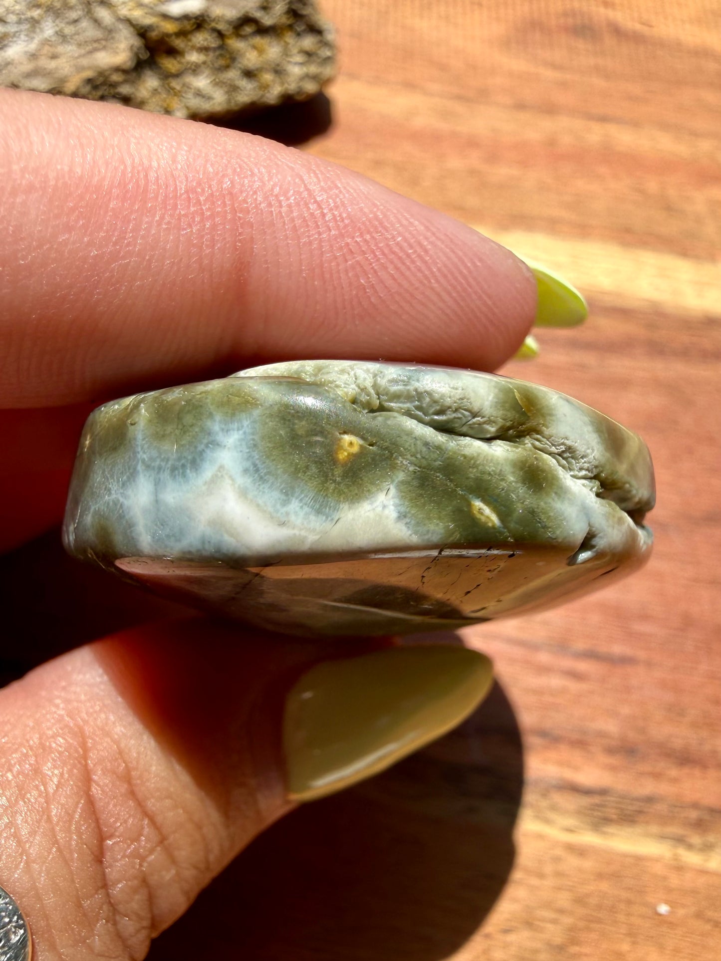 OLD STOCK OCEAN JASPER PALM STONE
