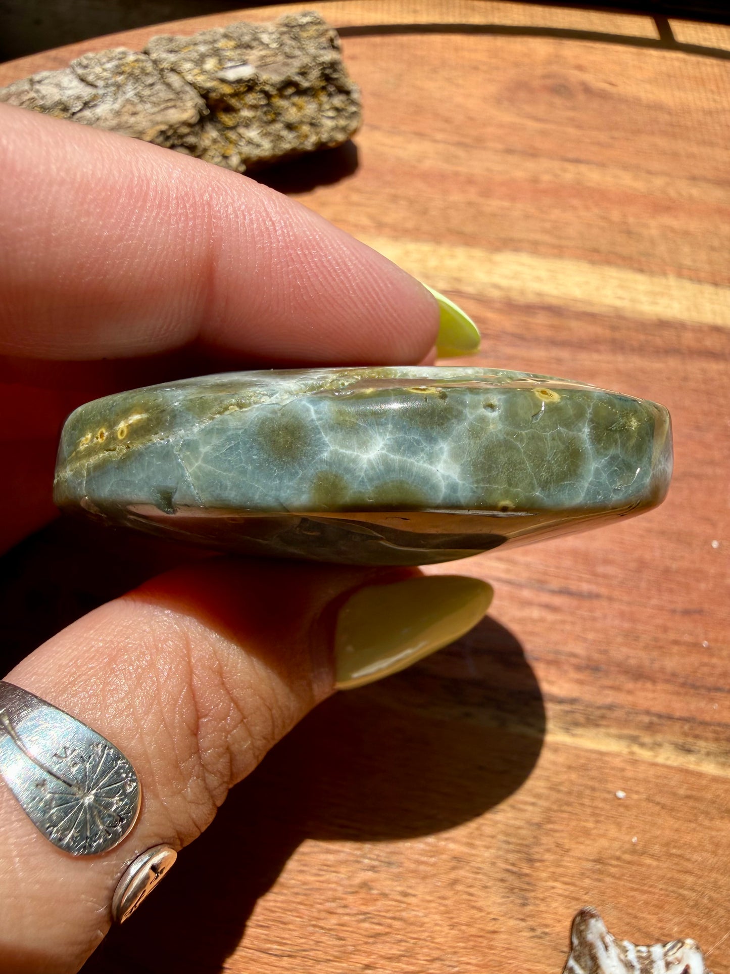 OLD STOCK OCEAN JASPER PALM STONE