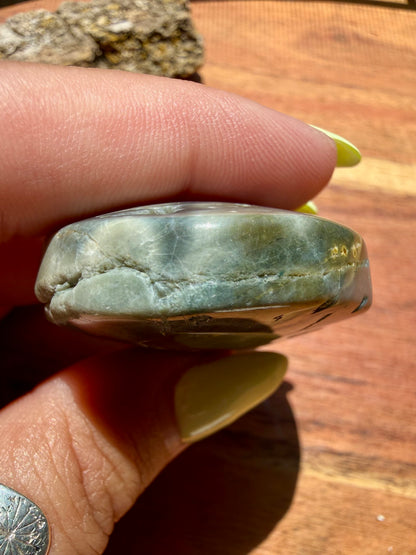 OLD STOCK OCEAN JASPER PALM STONE