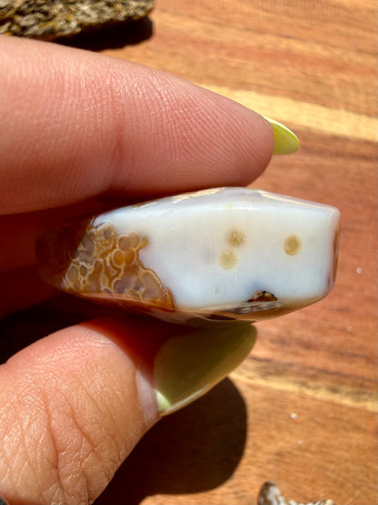 OLD STOCK OCEAN JASPER HEART
