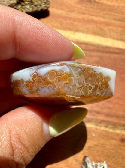 OLD STOCK OCEAN JASPER HEART