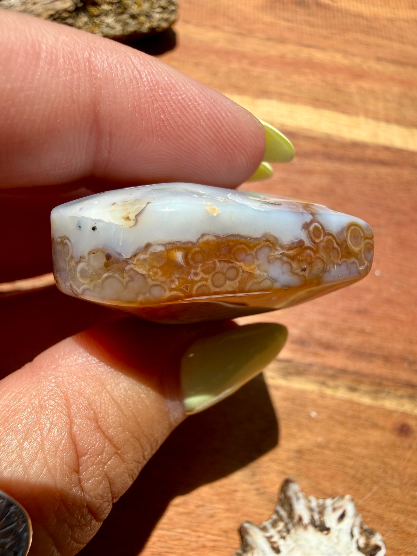 OLD STOCK OCEAN JASPER HEART