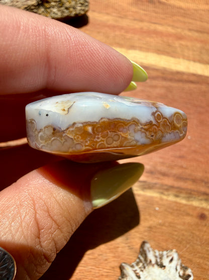 OLD STOCK OCEAN JASPER HEART
