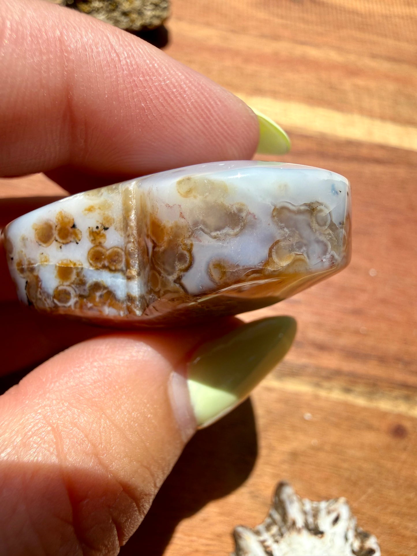 OLD STOCK OCEAN JASPER HEART