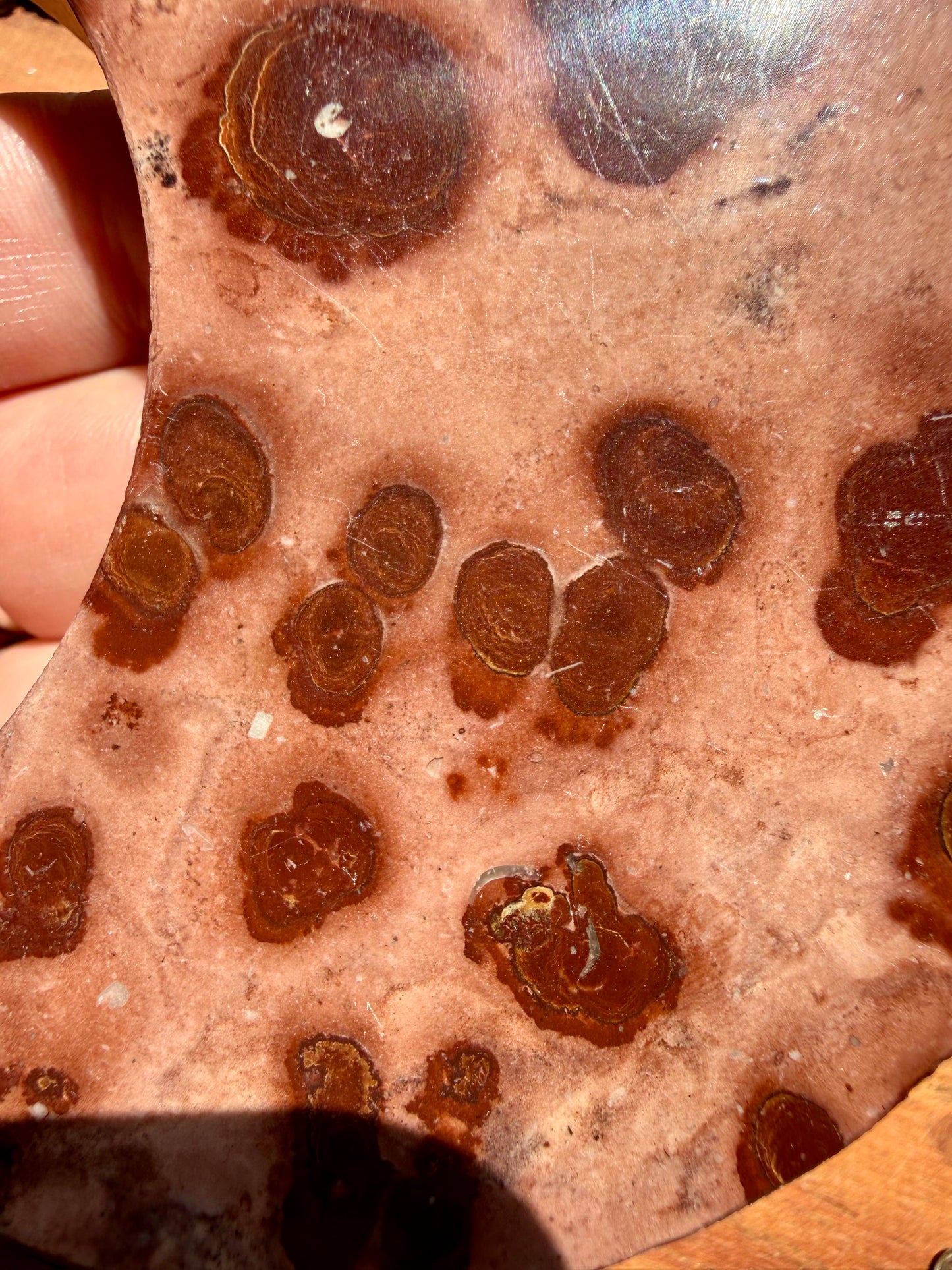 PICTURE JASPER MOON WITH STAND