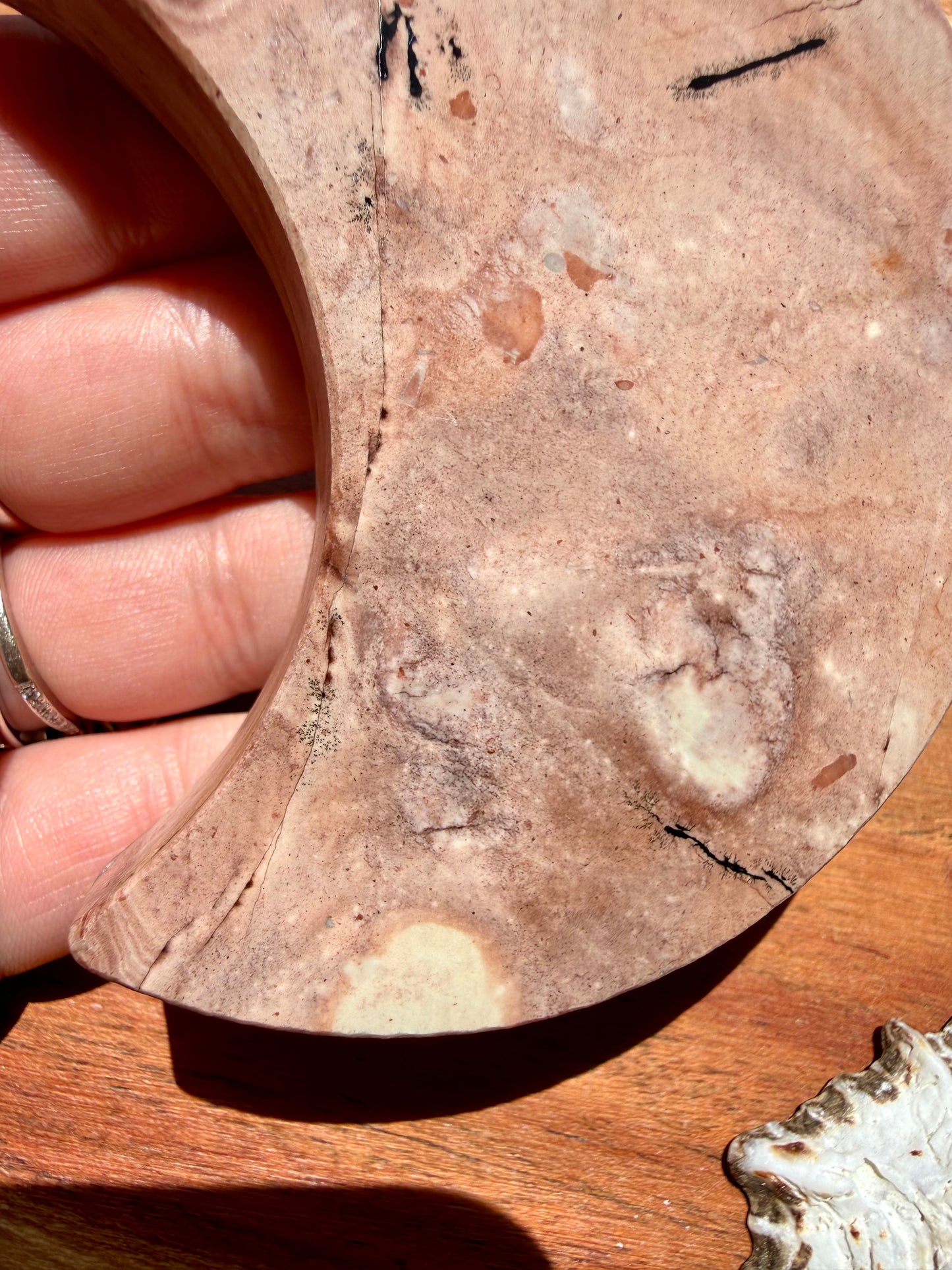 PICTURE JASPER MOON WITH STAND