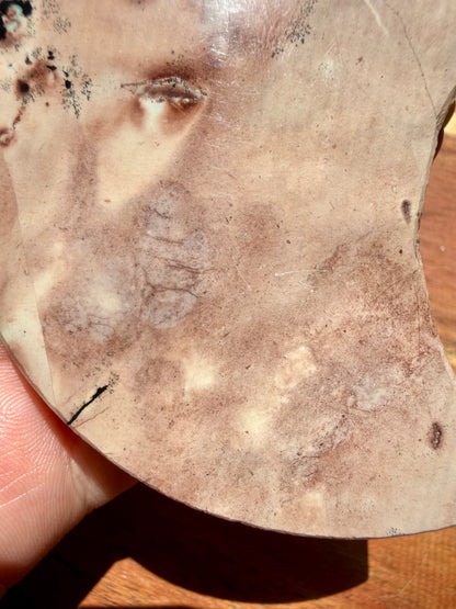 PICTURE JASPER MOON WITH STAND