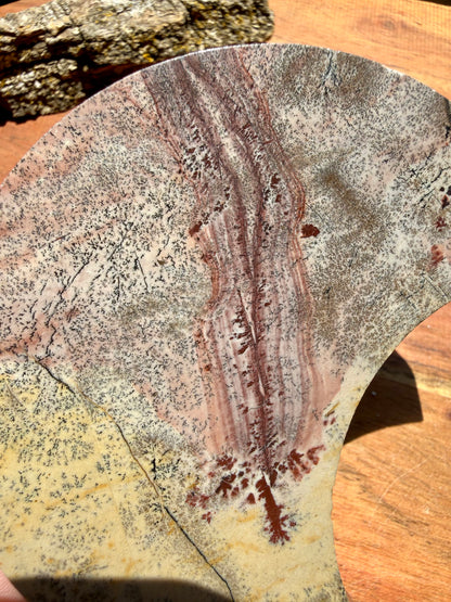 PICTURE JASPER MOON WITH STAND