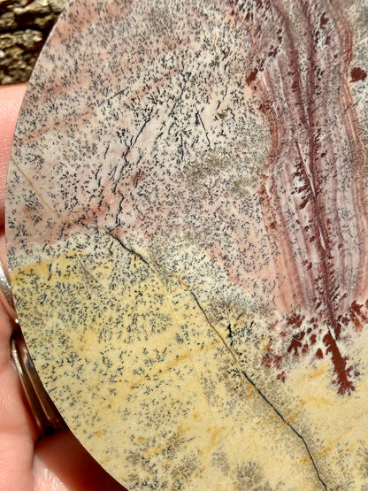 PICTURE JASPER MOON WITH STAND