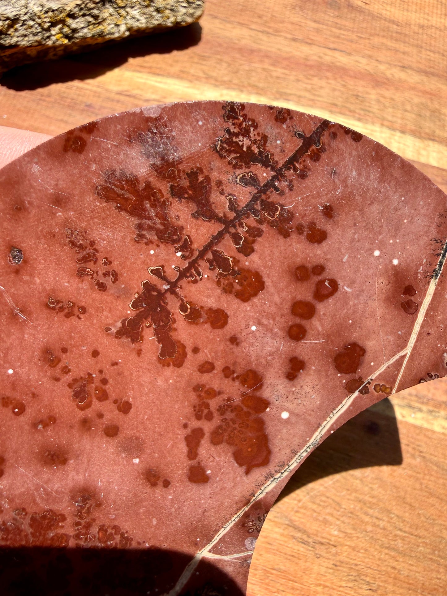 PICTURE JASPER MOON WITH STAND