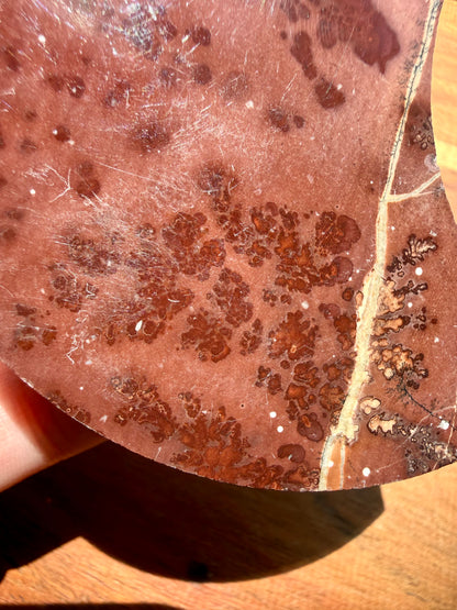 PICTURE JASPER MOON WITH STAND