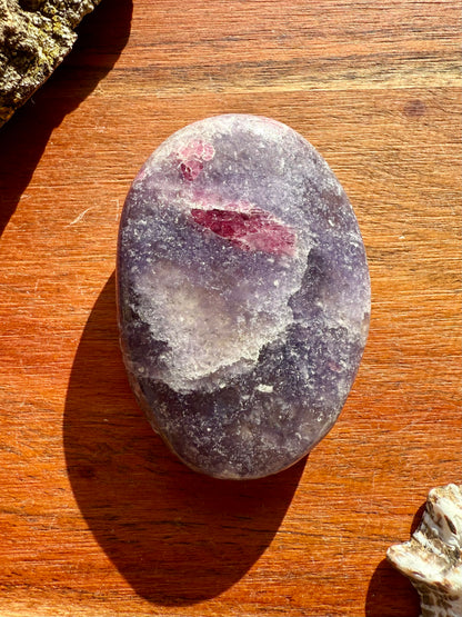 UNICORN STONE PALM STONE