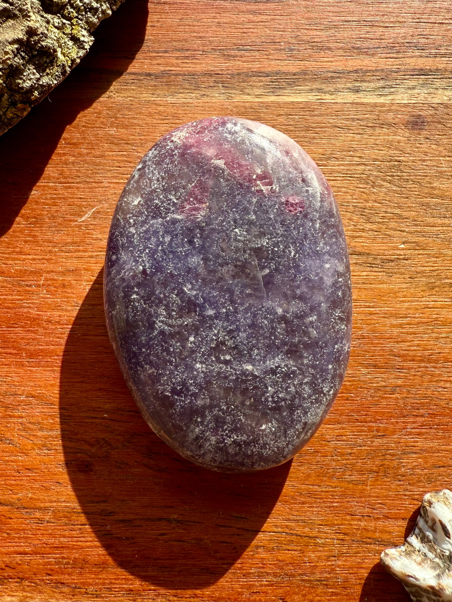 UNICORN STONE PALM STONE