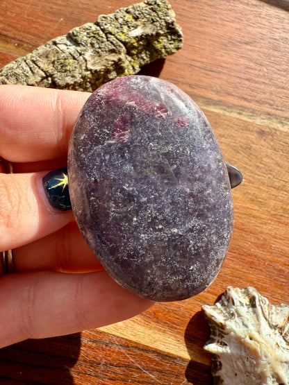 UNICORN STONE PALM STONE