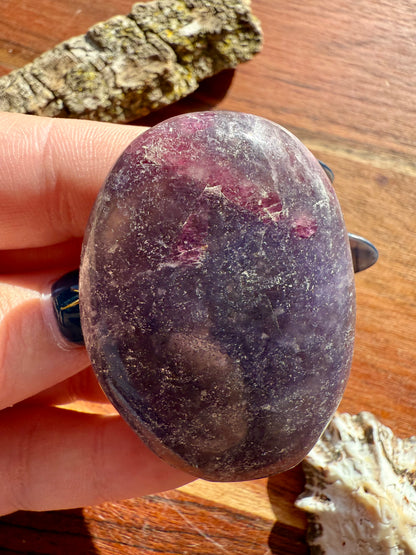 UNICORN STONE PALM STONE