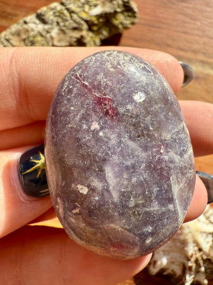 UNICORN STONE SMALL PALM STONE