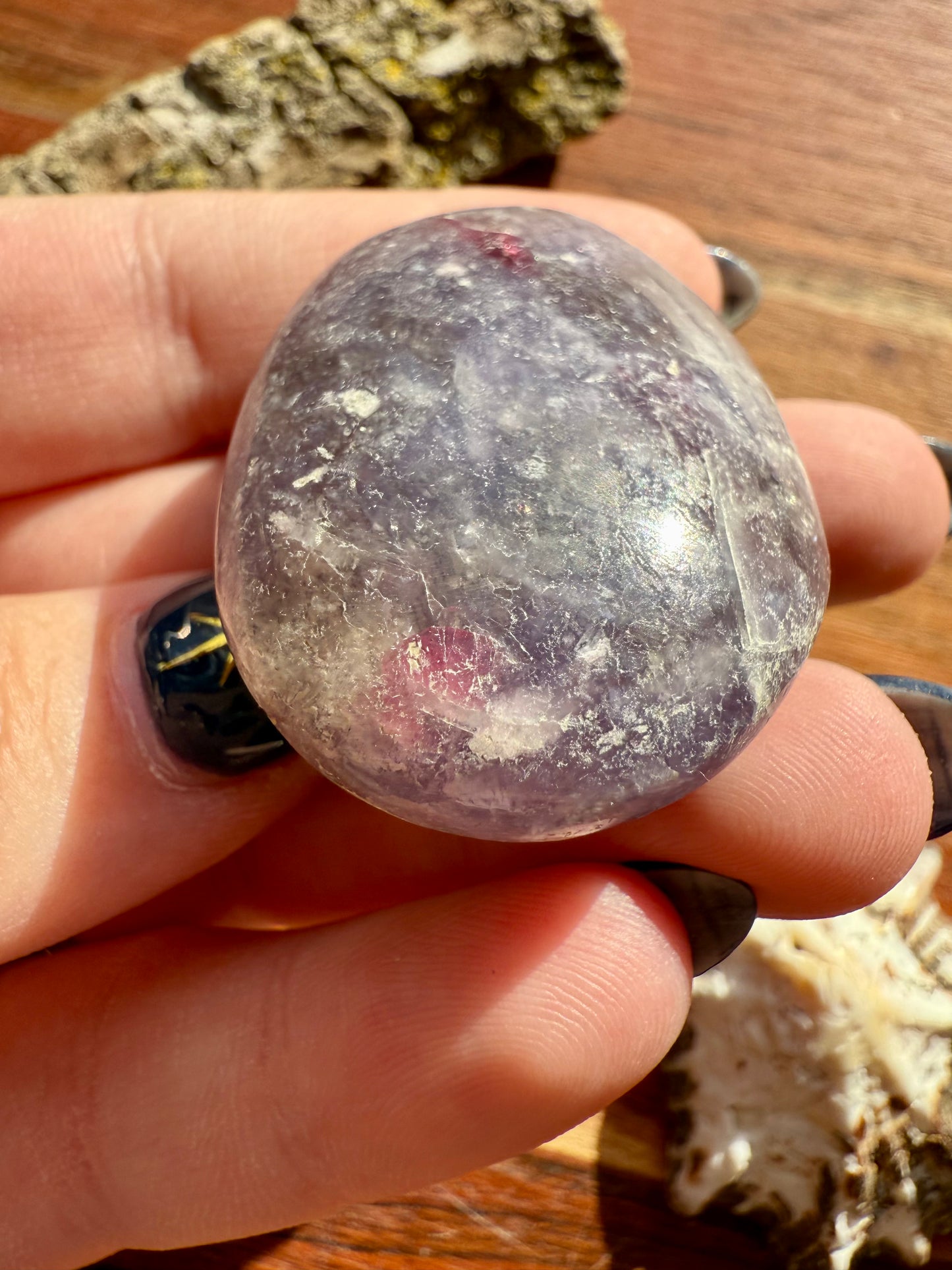 UNICORN STONE SMALL PALM STONE