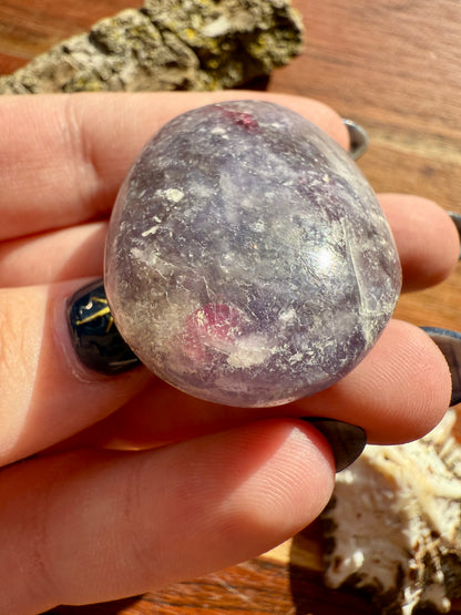 UNICORN STONE SMALL PALM STONE