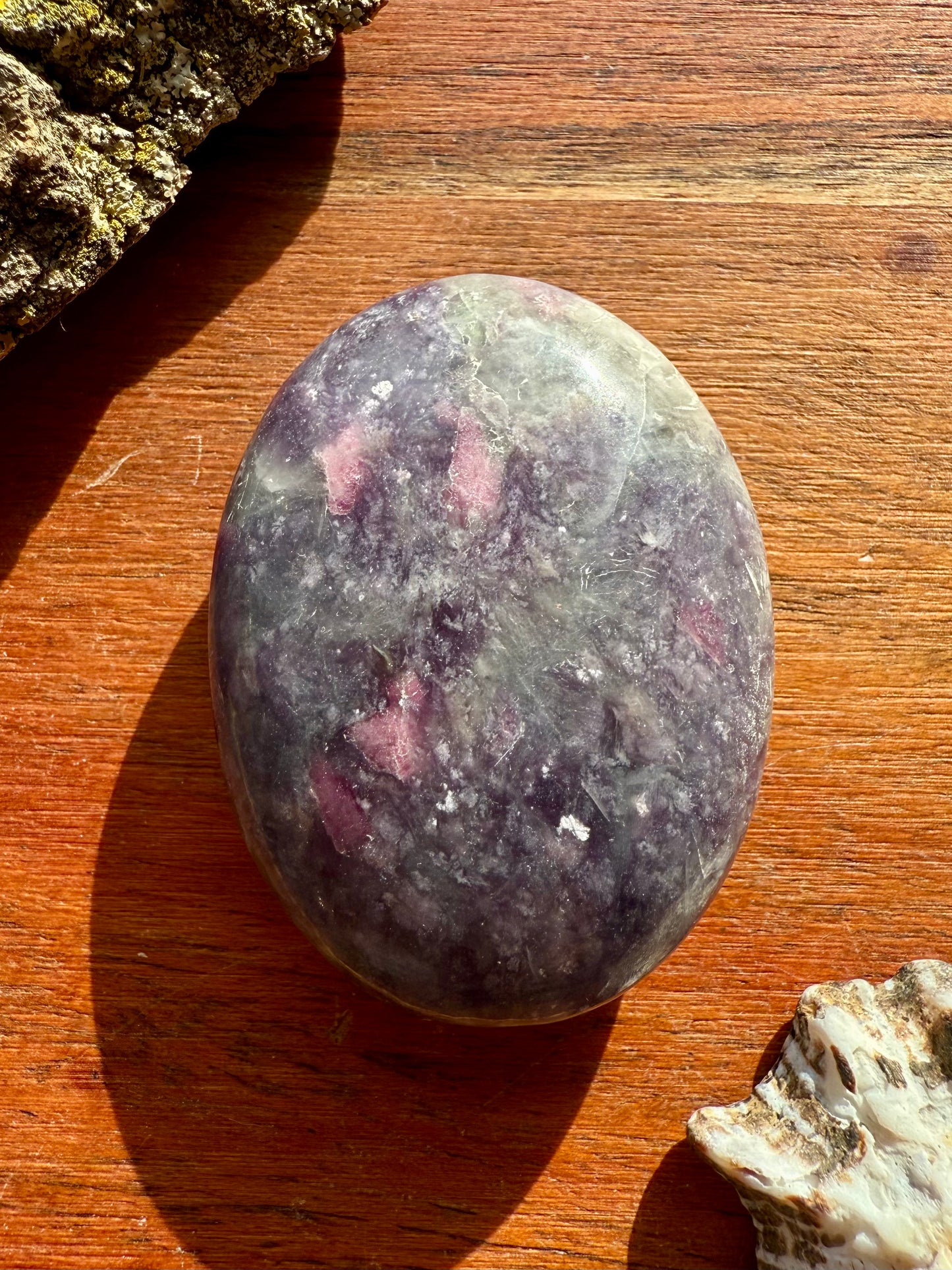 UNICORN STONE PALM STONE
