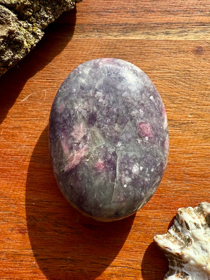 UNICORN STONE PALM STONE