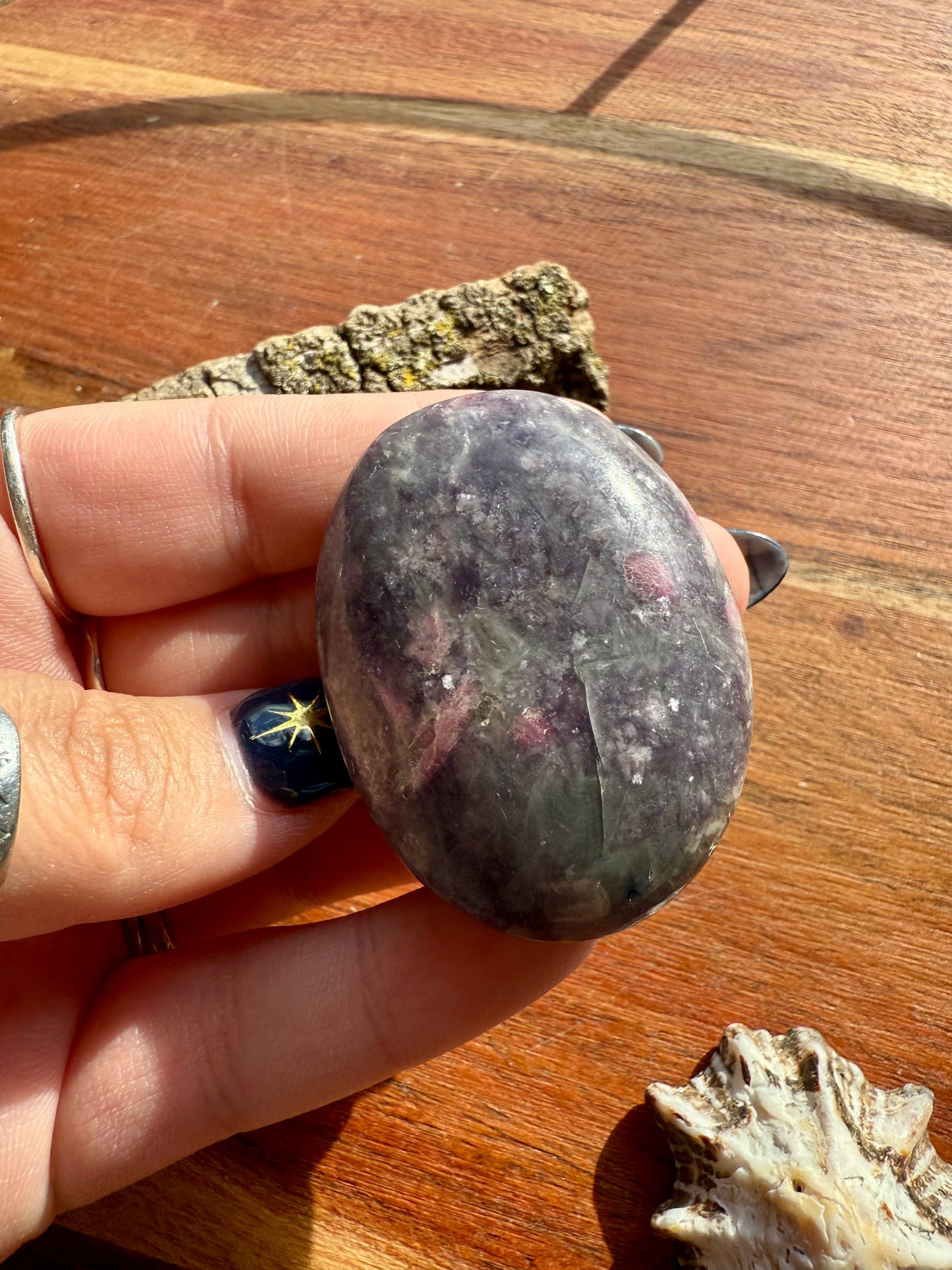 UNICORN STONE PALM STONE