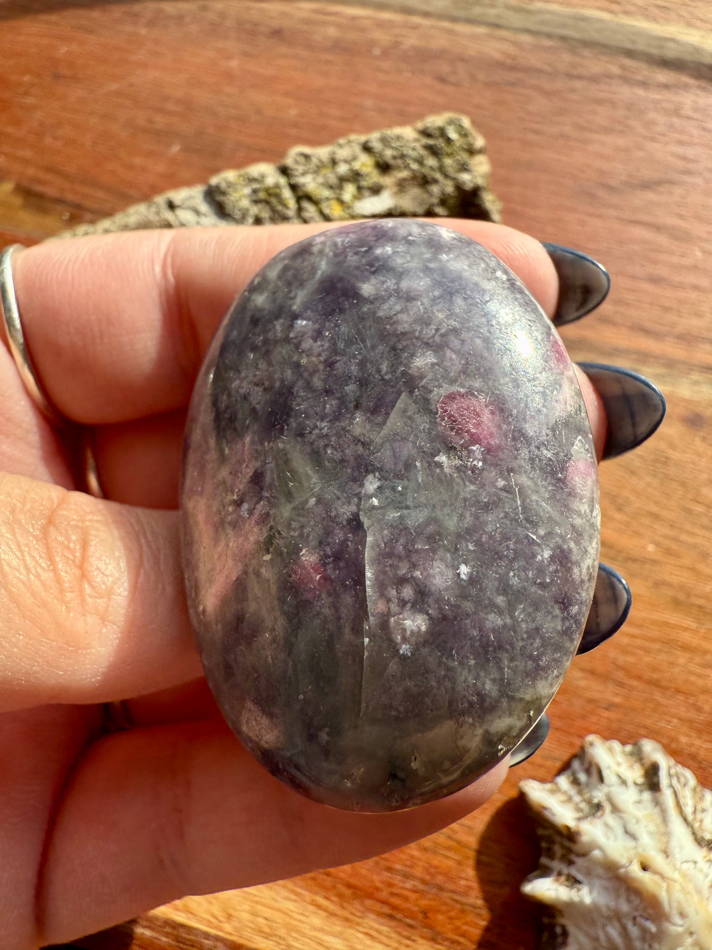 UNICORN STONE PALM STONE