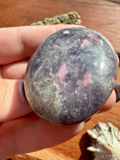 UNICORN STONE PALM STONE