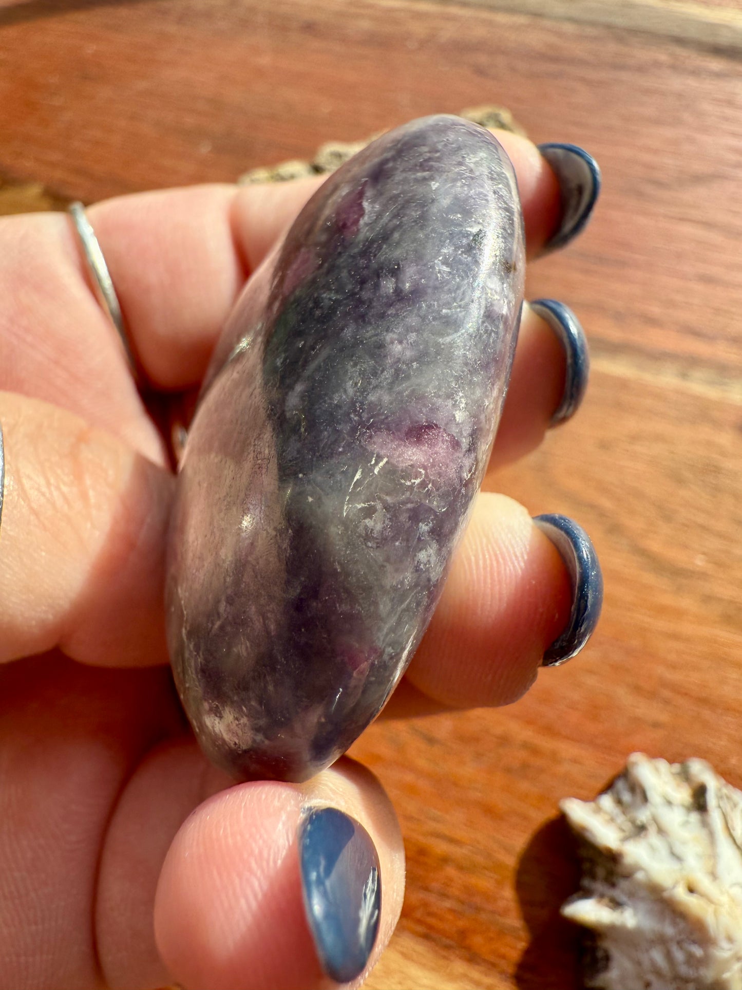 UNICORN STONE PALM STONE