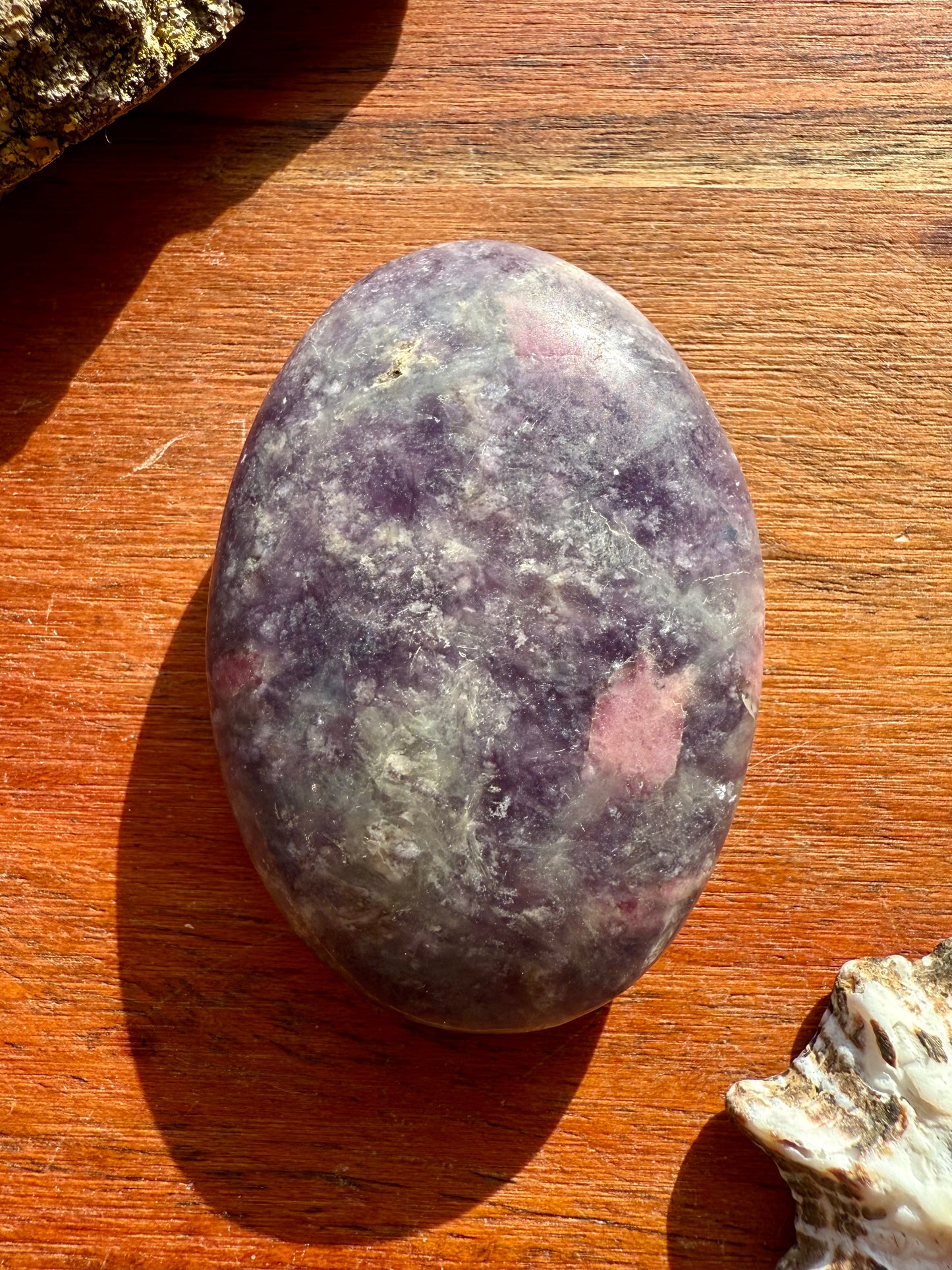 UNICORN STONE PALM STONE