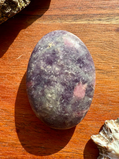 UNICORN STONE PALM STONE