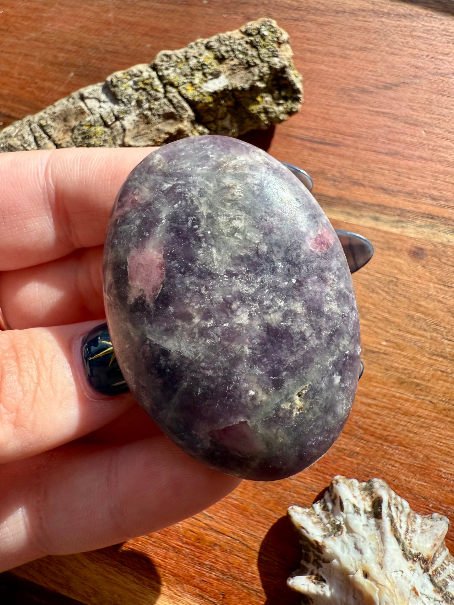 UNICORN STONE PALM STONE