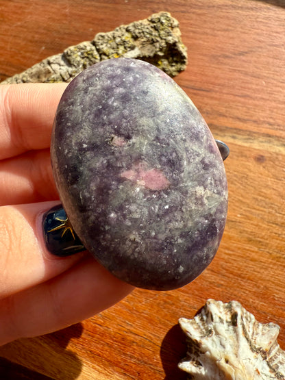 UNICORN STONE PALM STONE