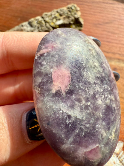 UNICORN STONE PALM STONE