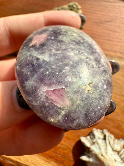 UNICORN STONE PALM STONE