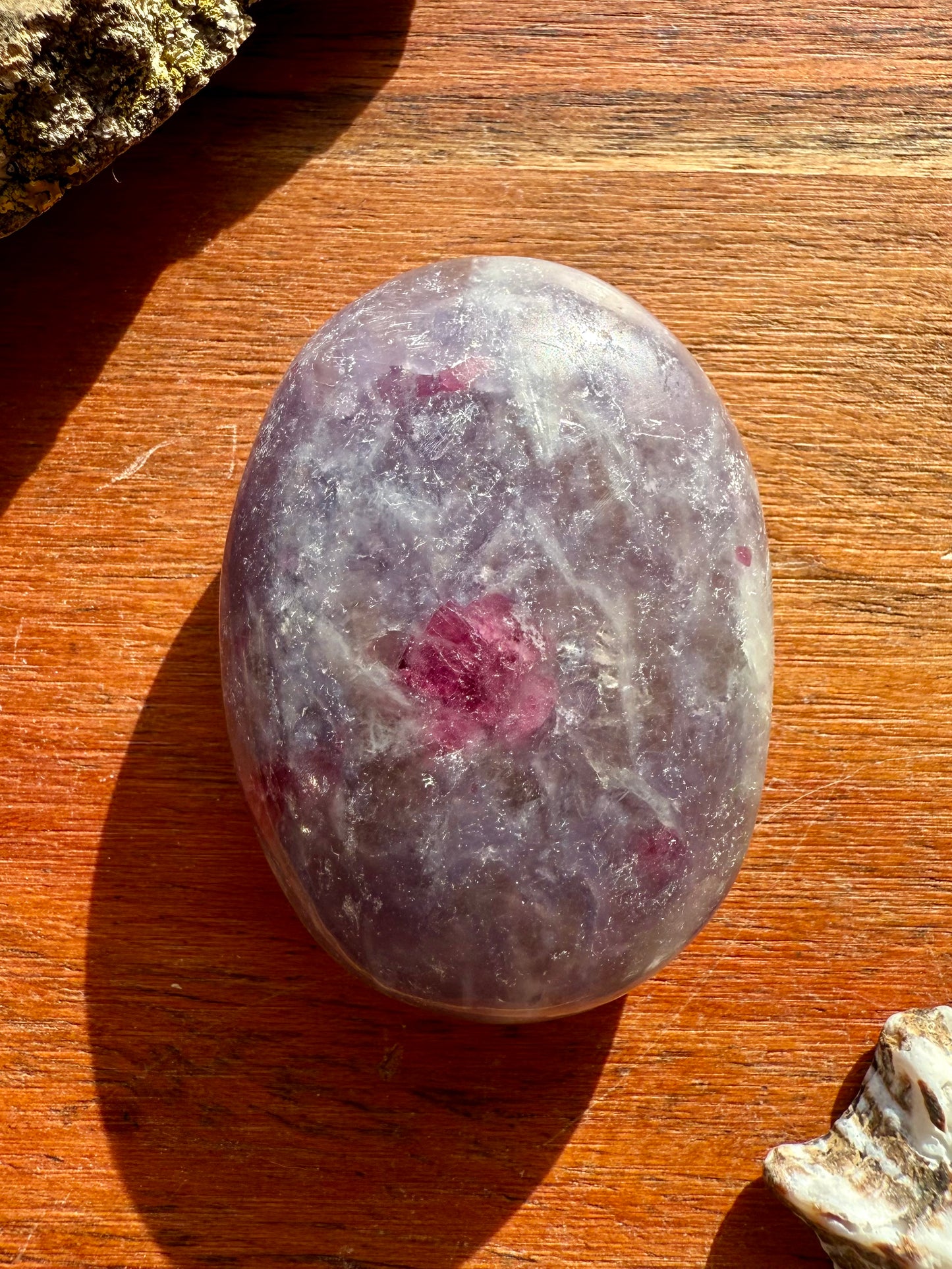 UNICORN STONE PALM STONE